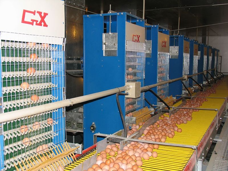 Breeder Cage Feeding System price