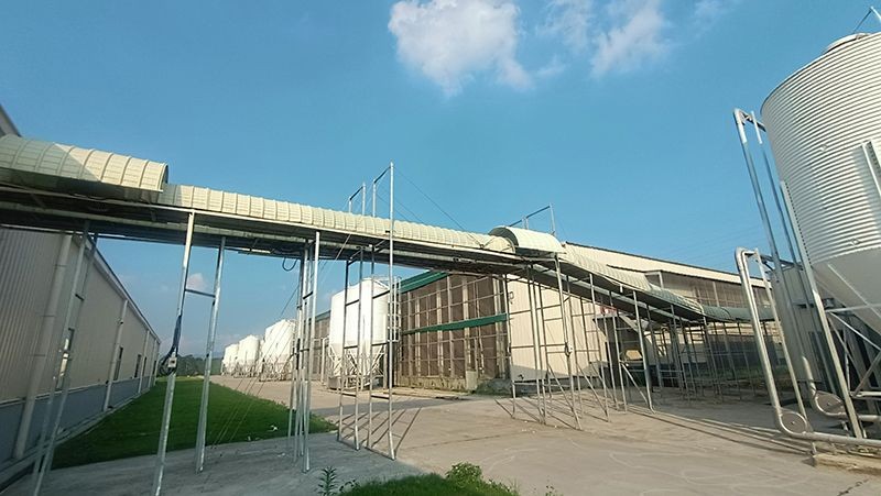 Breeder Cage Feeding System suppliers