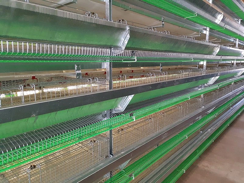 product-800-598 product-800-598