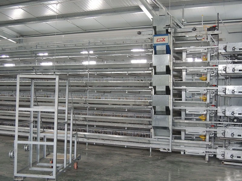 product-800-600 product-800-600