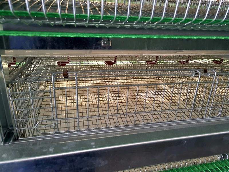 product-800-600 product-800-600